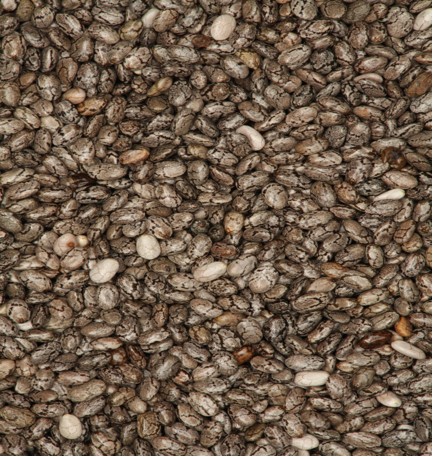 The Many Wonders of Chia Seeds