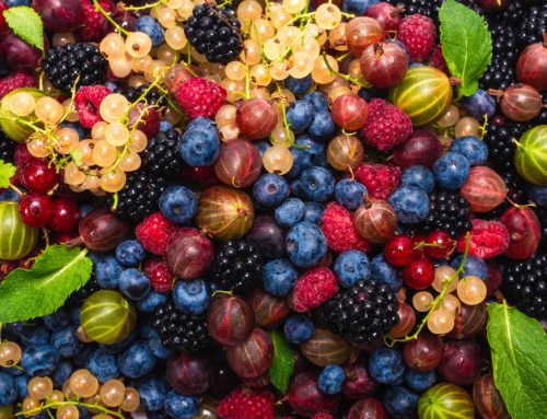 7 Best Snacks for a Dopamine Boost (Actually Satisfying)